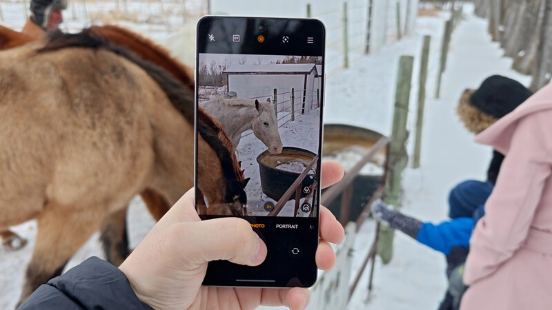 Oneplus 13 R Horse Picture