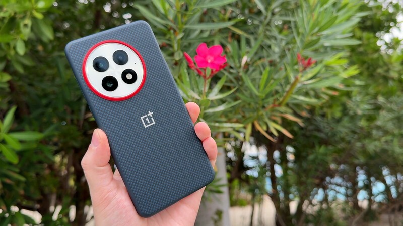 Oneplus 13 Tropical Flower Background
